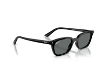 Ray-Ban Sunglasses RB4456 in 667781 (667781), front three-quarter view