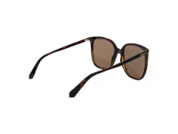 Polaroid Sunglasses PLD 6218/S in 086 (086), side view
