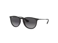 Ray-Ban Sunglasses RB4171 in 622/8G (622/8G), straight front view