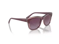 Vogue Eyewear Sunglasses VO5557S in 3140 (3140), side view