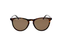 Polaroid Sunglasses PLD 4152/S in Havana (086), straight front view