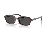 Ray-Ban Sunglasses RB4455 in 135987 (135987), side profile view