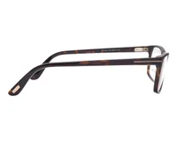 Tom Ford Frame TF5295 in Brown (052)