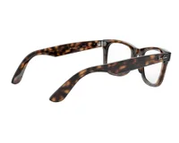 Ray-Ban Frame RX4340V in Brown / Havana (2012), viewed from behind