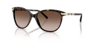 Burberry BE4216 sunglasses in Dark Havana with brown gradient lenses and Burberry check temples, front three-quarter view